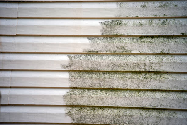 Best Fiber Cement Siding Installation  in Wallburg, NC