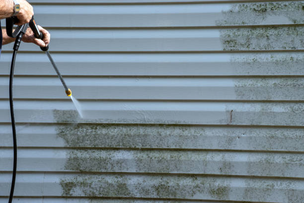 Best Siding for New Construction  in Wallburg, NC
