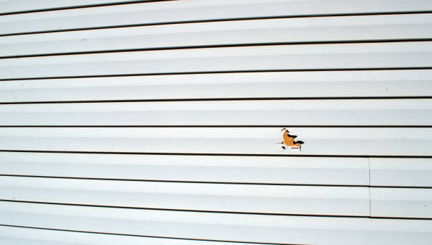 Best Historical Building Siding Restoration  in Wallburg, NC