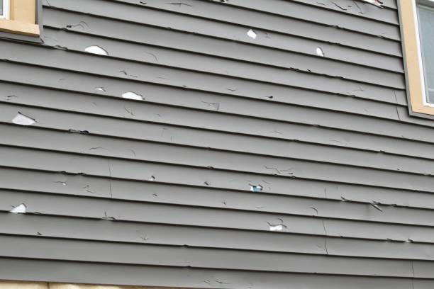 Affordable siding repair and maintenance services in Wallburg, NC