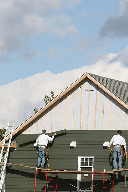 Best Siding for New Construction  in Wallburg, NC