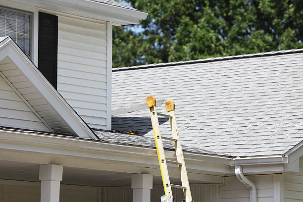 Best Historical Building Siding Restoration  in Wallburg, NC